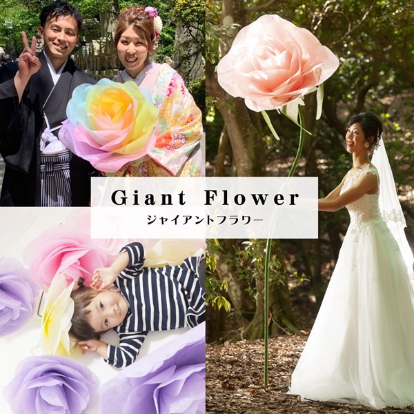 Giant Flower WCAgt[