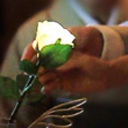 GRACE ROSE　エンジェルスタンド【レンタル】結婚式の演出に水で光るバラの花