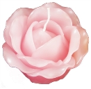 バラの花びらのローズキャンドル ピンク Sサイズ キャンドルリレー用