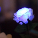 GRACE ROSE（グレイスローズ）：ブルー　水に反応してふわりと光るバラの花　電池交換して繰り返し使えるタイプ
