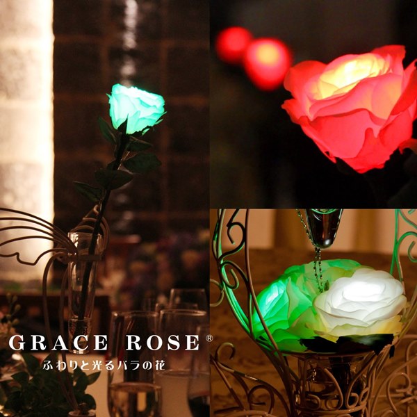 GRACE ROSE グレイスローズ　水で光るバラの花